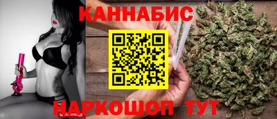 стаф Ставрополь
