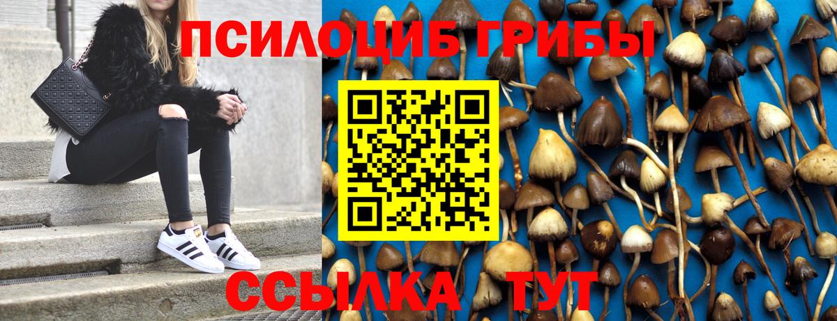 Новошахтинск  Галлюциногенные грибы GOLDEN TEACHER  Вход с VPN 